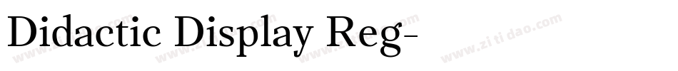 Didactic Display Reg字体转换